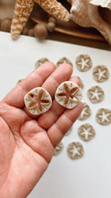 Load image into Gallery viewer, Sand Dollar Clay Cutter