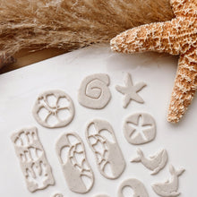 Load image into Gallery viewer, Nautilus Clay Cutter