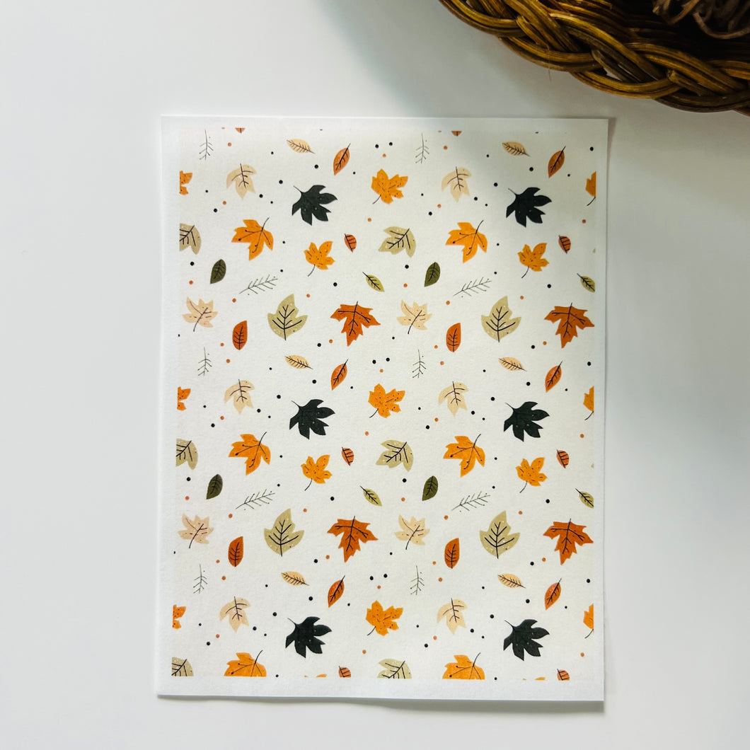 Transfer Paper